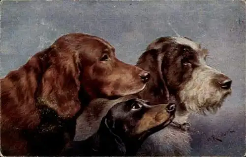 Künstler Ak Reichert, C., Irish Setter, Dachsund, Griffon