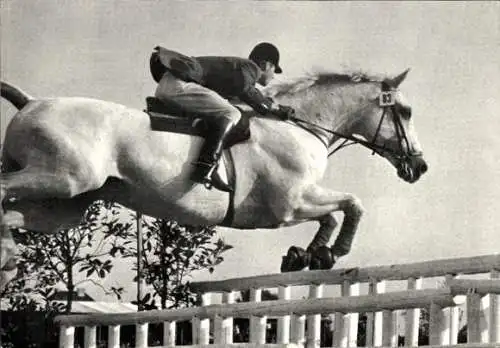 Ak Kamerad unter Hermann Schridde, Hindernissprung, Pferd, Springreiter, Continental Farmer