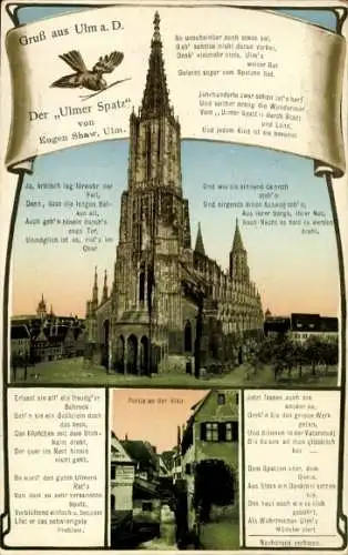 Ak Ulm an der Donau, Ulmer Spatz, Münster