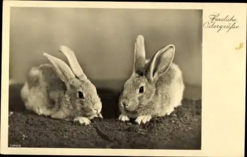 Ak Frohe Ostern, zwei Osterhasen