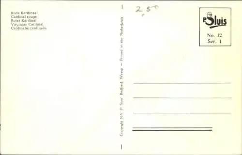 Ak Vogel, Roter Kardinal