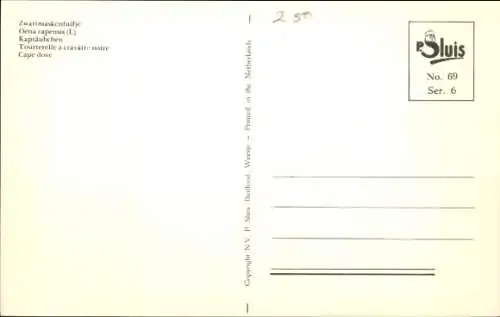 Ak Vogel, Kaptäubchen