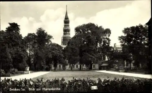 Ak Zwickau in Sachsen, Blick zur Marienkirche, Zwickau