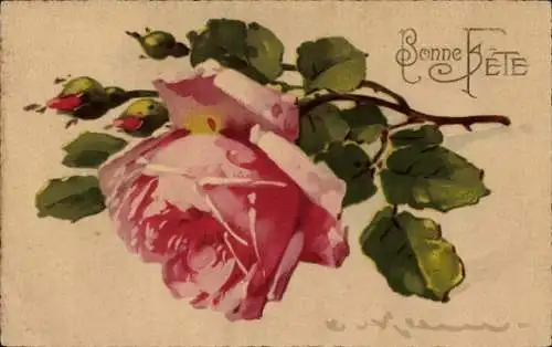 Künstler Ak Klein, Catharina, Rosenblüte, Blume