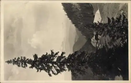 Ak Feldberg im Schwarzwald, Berglandschaft, Nadelbaum, Zastlerhütte, Schwarzwald