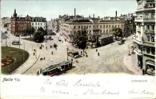 Ak Halle an der Saale, Riebeckplatz, Straßenbahnen, Heliocolorkarte, Zieher