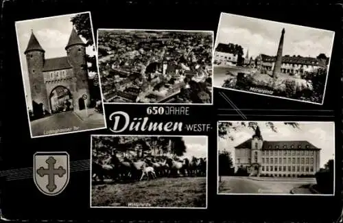 Ak Dülmen im Münsterland Westfalen, Lüdinghauser Tor, 650 Jahre  Marienplatz, Wildpferde, Gymn...