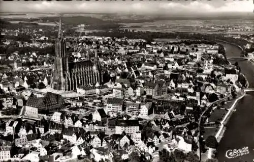 Ak Ulm an der Donau, Luftbild der Stadt, Münster