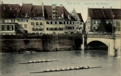 Ak Ulm an der Donau, Donau, Brücke, Ruderregatta