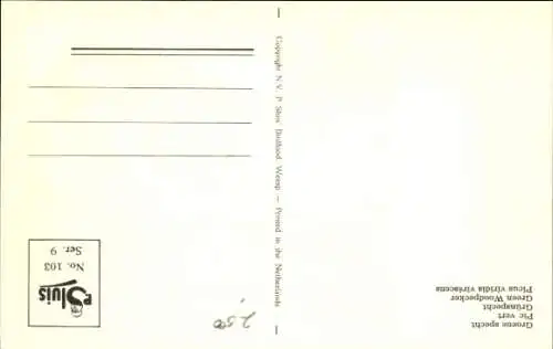 Ak Vogel, Grünspecht