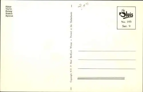 Künstler Ak Zeisig auf Zweig sitzend