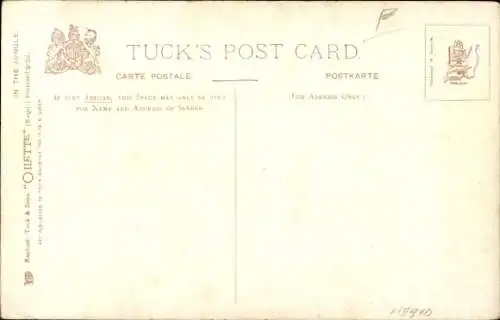 PC Greater bird of paradise