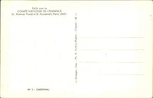 Ak Vogel, Kardinal, Tierwelt