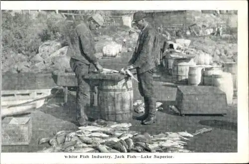 Ak Lake Superior, White Fish Industry. Jack Fish