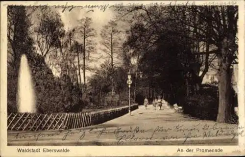 Ak Eberswalde in der Mark, Promenade