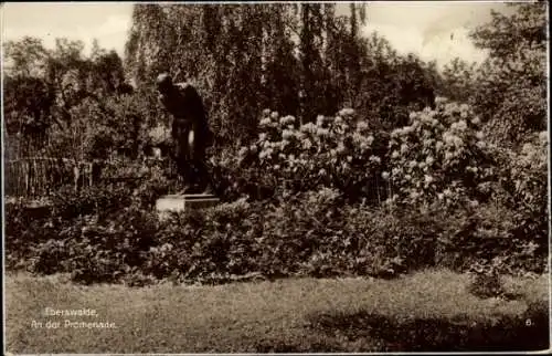 Ak Eberswalde in der Mark, Promenade