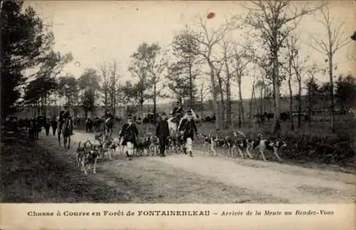 CPA Fontainebleau Seine-et-Marne, Chasse à Courre, Arrivée de la Meute au Rendez-Vous