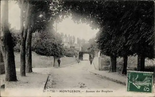 Ak Montgeron Essonne, Avenue des Peupliers, 38 Montgeron