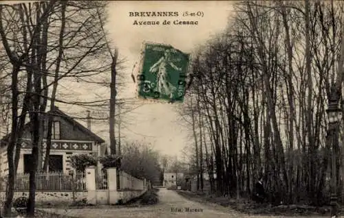 Ak Brévannes Seine-et-Oise Val de Marne,  Avenue de Cessac