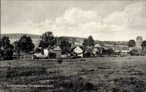 Ak Steinigtwolmsdorf in der Lausitz, Teilansicht