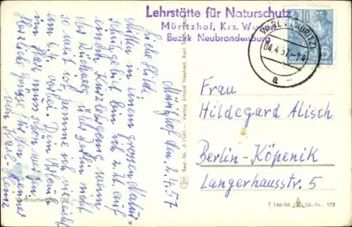 Ak Waren an der Müritz, Schwarzweißbild eines Sees, Stadtansicht mit Kirchturm, Bäume im Vorde...