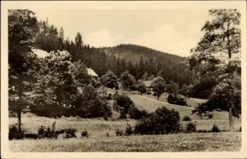 Ak Mengersgereuth Hämmern in Thüringen, Teilansicht, Wald