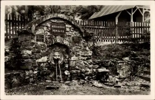 Ak Eisfeld in Thüringen, Werra Quelle