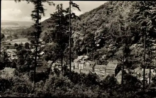 Ak Thal in Niederösterreich, Panoramablick auf hügelige Landschaft, Häuser im Vordergrund, Wal...