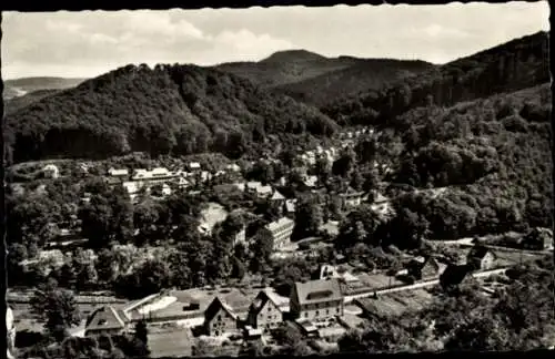 Ak Thal Ruhla im Wartburgkreis Thüringen, Blick vom alten Keller, Panorama vom Ort