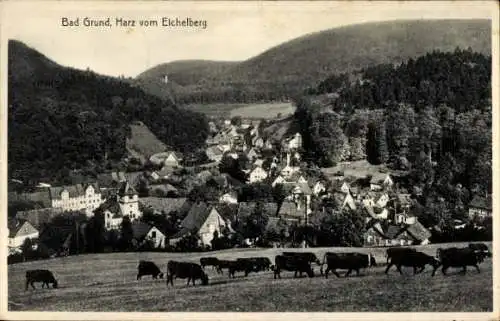 Ak Bad Grund im Harz, Kuhweide, Eichelberg