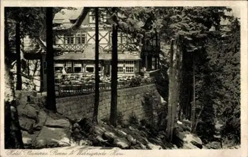 Ak Wernigerode am Harz, Hotel Steinerne Renne