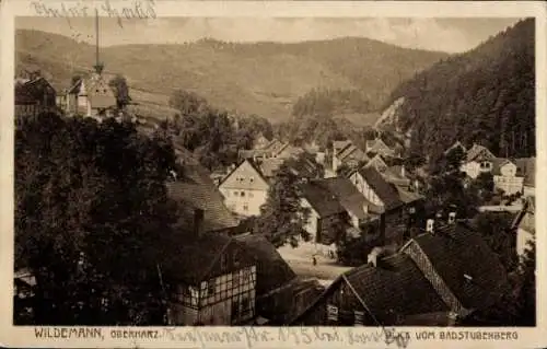 Ak Wildemann Clausthal Zellerfeld im Oberharz, Blick vom Badstubenberg,  Oberharz, Landschaft ...