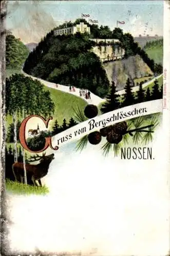 Ak Nossen in Sachsen, Blick auf das Gasthaus Bergschlösschen