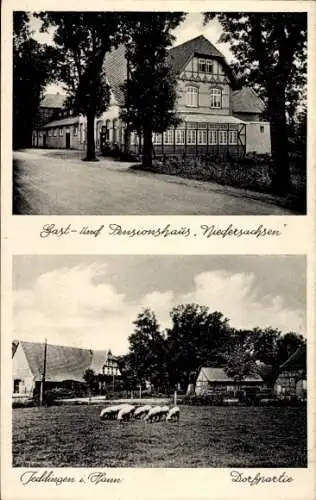 Ak Jeddingen Visselhövede in Niedersachsen, Gasthaus Niedersachsen, Dorfpartie