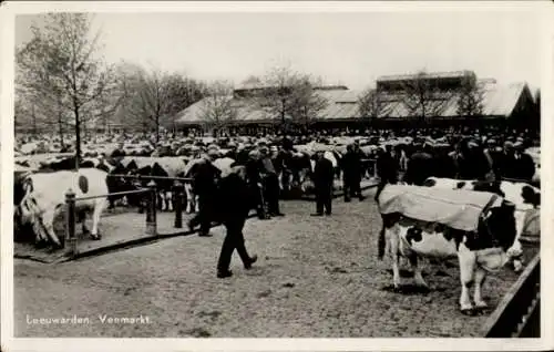Ak Leeuwarden Friesland Niederlande, Viehmarkt, Rinder