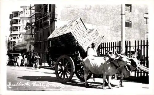 Foto Ak Mumbai Bombay Indien, Rinder-Karren