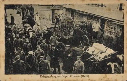 Ak Krosno Odrzańskie Crossen a.d. Oder Ostbrandenburg, Kriegsgefangenenlager, Kriegsgefangene, I.WK