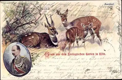 Litho Hannover, Zoologischer Garten, Buschbock, Generalmajor Liebert