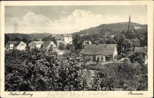 Ak Międzyzdroje Ostseebad Misdroy Pommern, Panorama