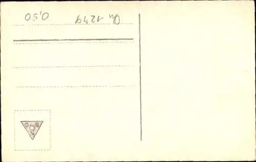 Ak Hund schaut nach oben, Profil