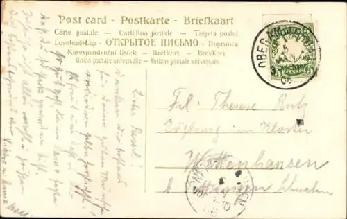 Ak Früchte, Reife Kirschen