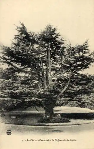 CPA Le Cedre, Centenaire de Saint Jean de la Ruelle