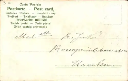 Litho Wohnhaus, Wiese, Gänse, Teich