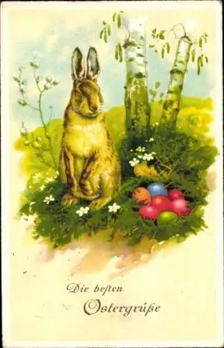 Ak Glückwunsch Ostern, Osterhase, Ostereier