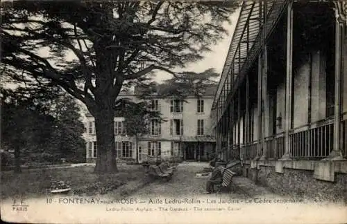 Ak Fontenay aux Roses Hauts de Seine, Asile Ledru-Rollin, Les Jardins, Le Cèdre centenaire