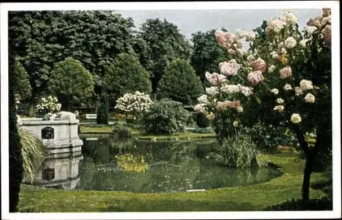 Ak Viersen in Nordrhein Westfalen, Stadtgarten