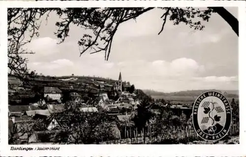 Ak Bahlingen am Kaiserstuhl, Gesamtansicht