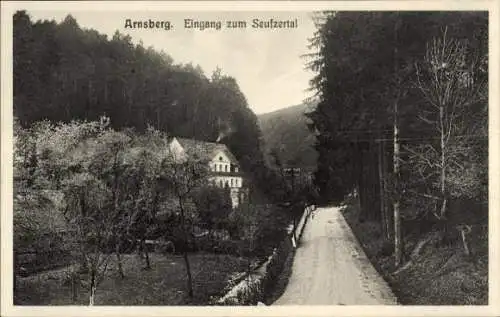 Ak Arnsberg im Sauerland, Eingang zum Seufzertal, Straßenpartie, Wohnhaus, Wald