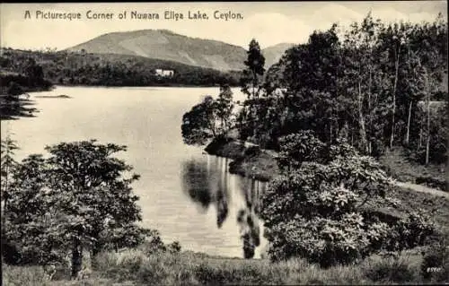 Ak Ceylon Sri Lanka, Nuwara Eliya See