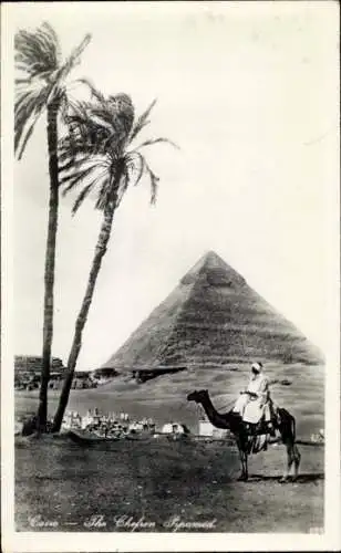 Ak Cairo Kairo Ägypten, Pyramide, Kamelreiter, Palmen, Schwarz-Weiß-Fotografie